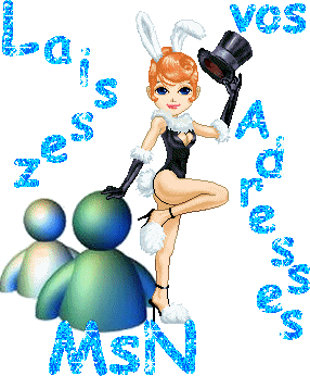 laissez vos adresses MsN